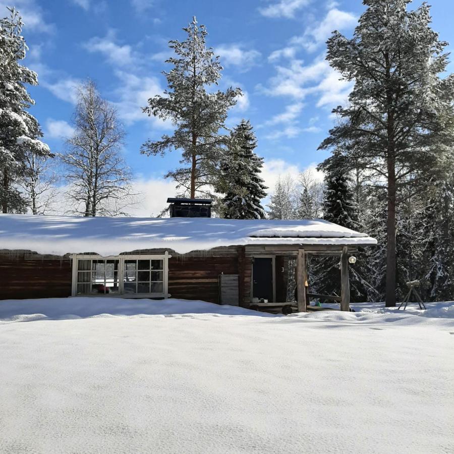 Ollero Eco Lodge روفانييمي المظهر الخارجي الصورة