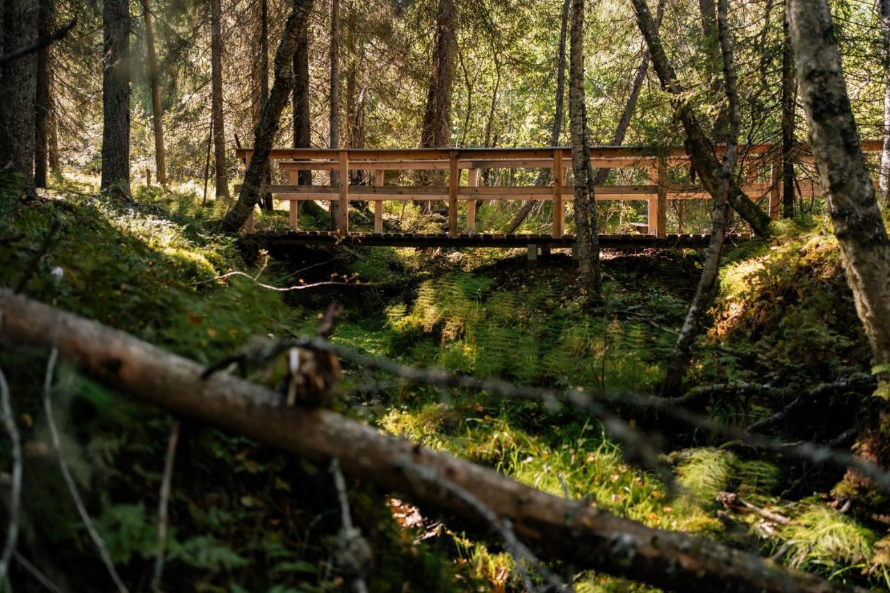 Ollero Eco Lodge روفانييمي المظهر الخارجي الصورة